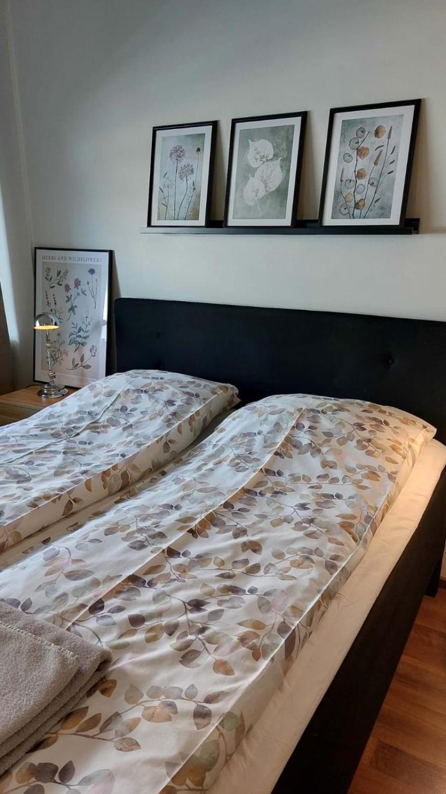 Scandinavian Home Rovaniemi Kültér fotó