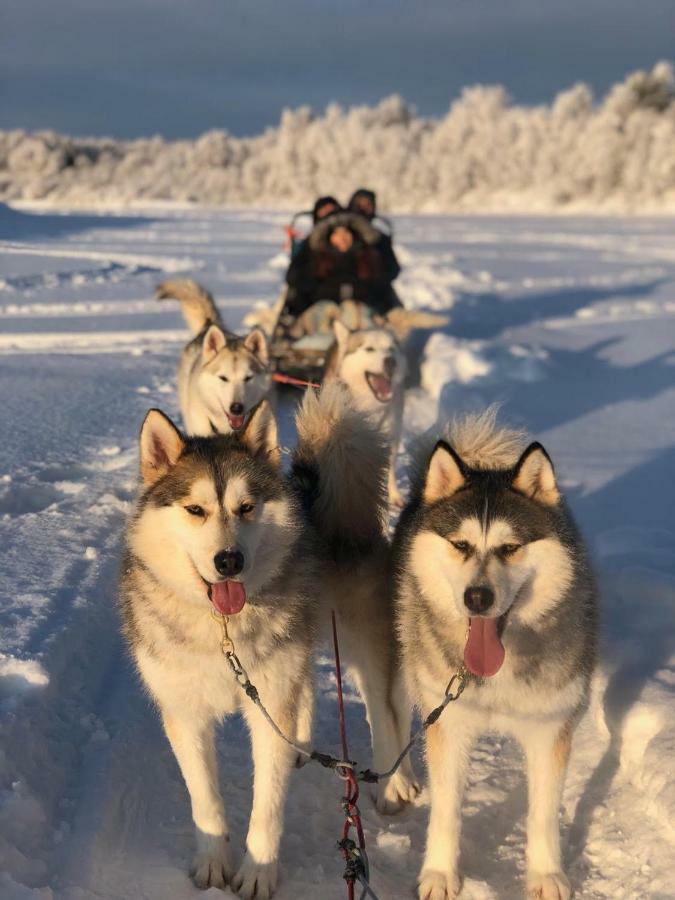 Scandinavian Home Rovaniemi Kültér fotó